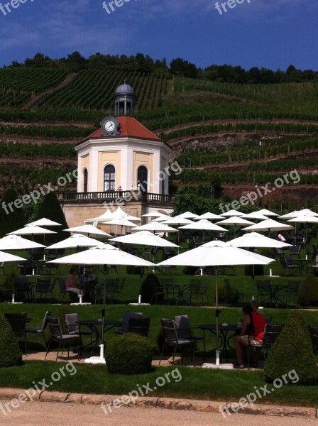 Pavilion Vineyard Schloss Wackerbarth Radebeul Free Photos