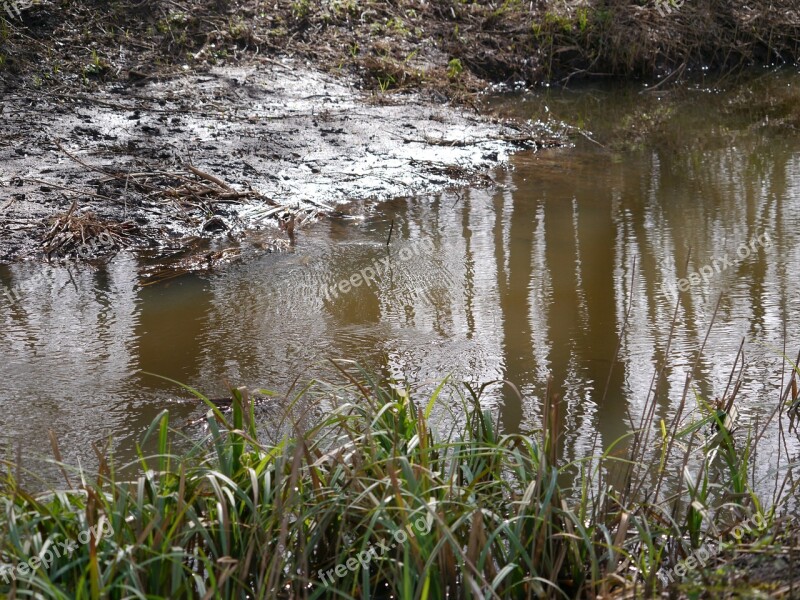 Water River Nature Water Background Creek