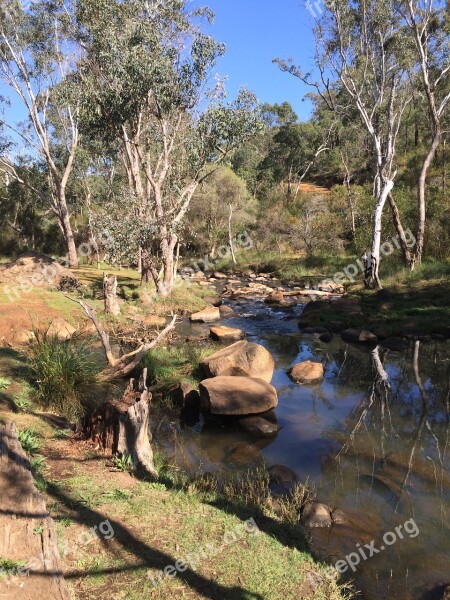 Australian Creek Wilderness Nature Scenic