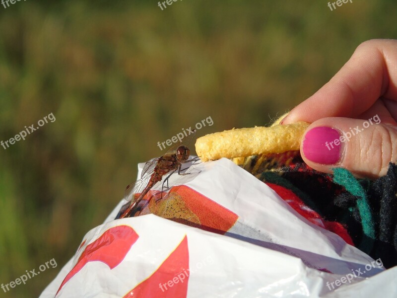 Dragonfly Cheese Puffs Ostbåge Thumb Mat