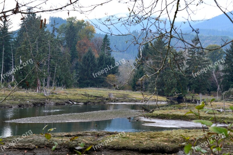 Lillywaup Estuary Hood Canal Free Photos