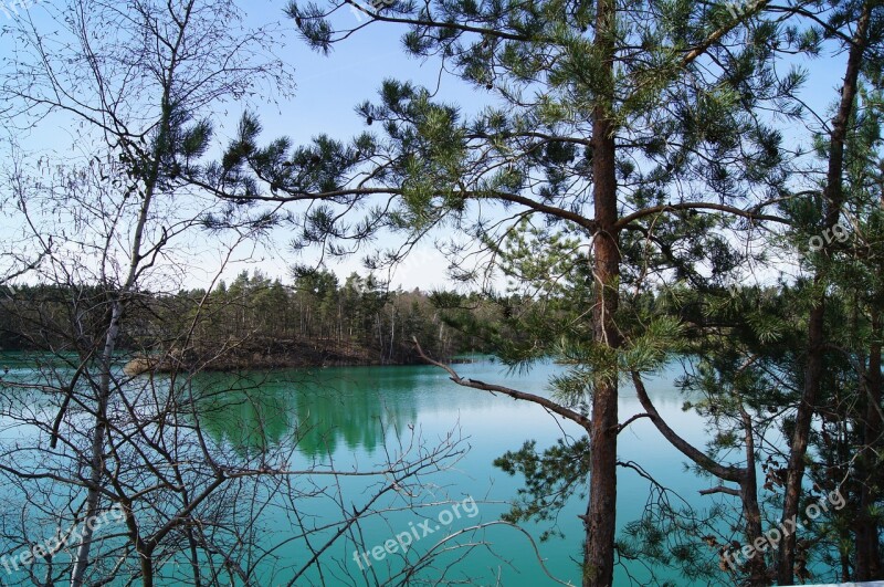 Lake Forest Landscape Water Saxony-anhalt