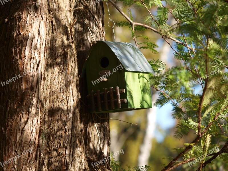 Natural Nesting Box Autumn Birds Free Photos