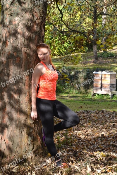 Sport Autumn Nature Tree Outdoor