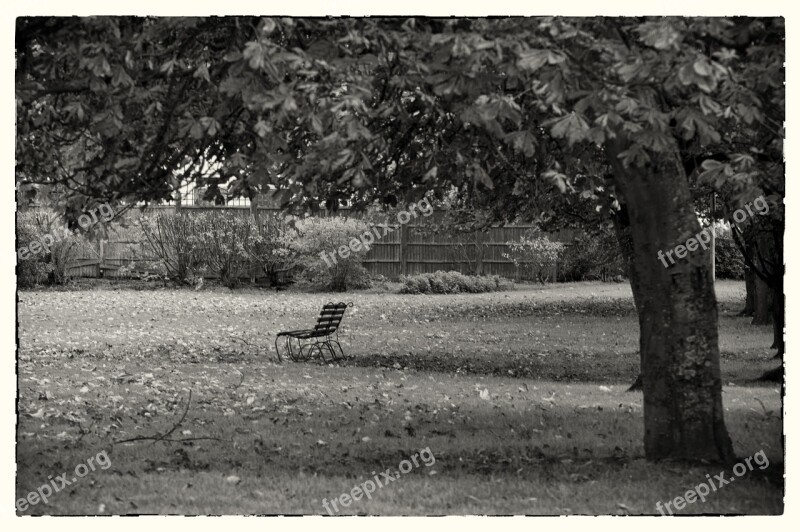 Bench Park Park Bench Outdoor Grass