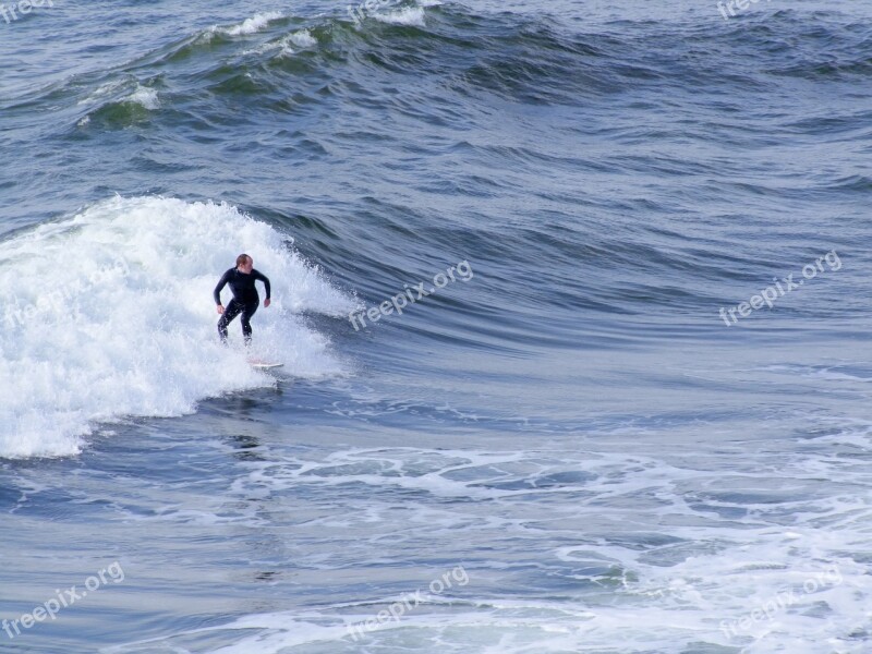 Surfer Sea Surfing Beach Sport