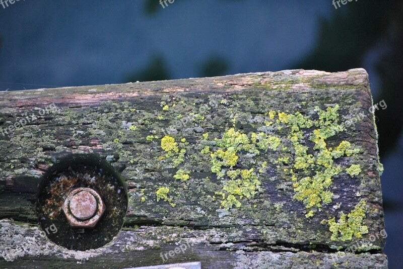 Wood Old Old Wood Weathered Gnarled