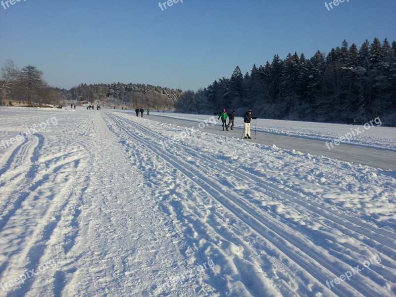 Winter Snow White Crystal Free Photos