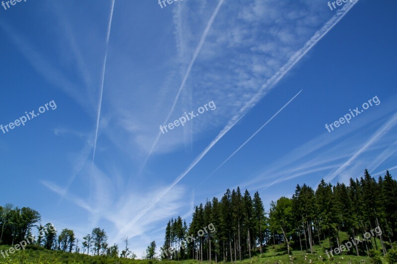 Nature Forest Sky Clouds Aircraft Trails