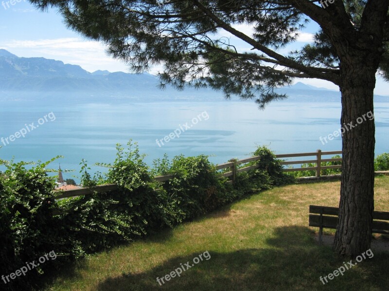 Lavaux Lake Geneva Cornice Free Photos