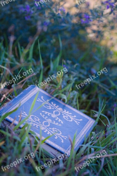 Book Grass Green Reading Book Summer