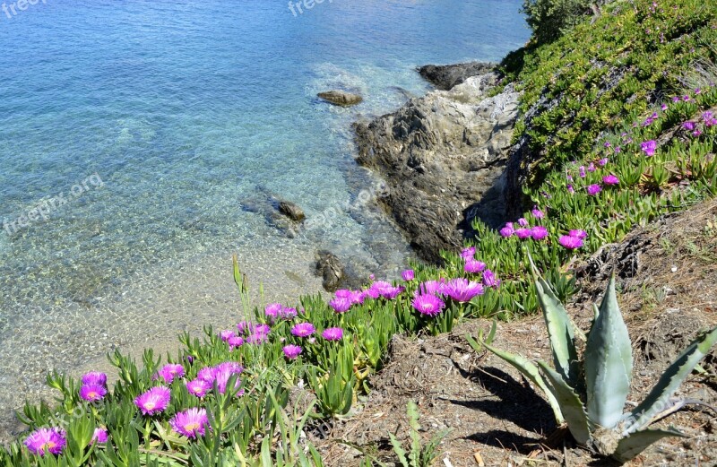 Europe Greece Sea The Aegean Sea Holiday