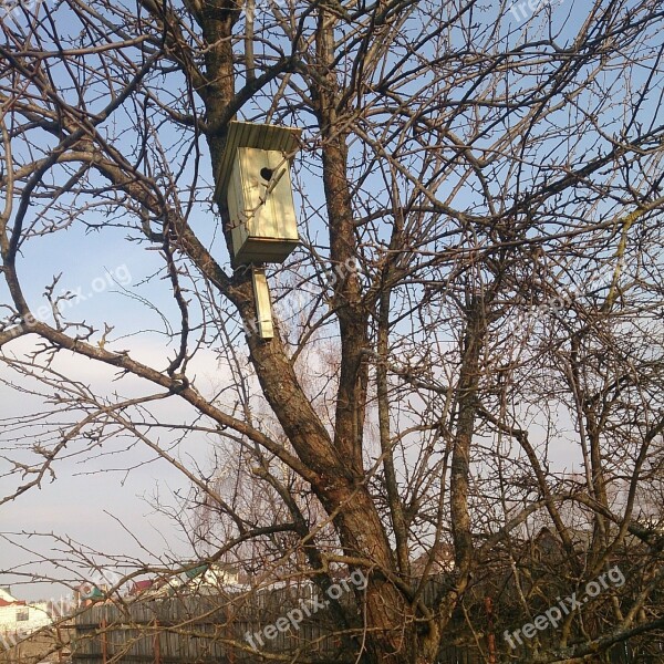 Spring Birdhouse Tree Free Photos