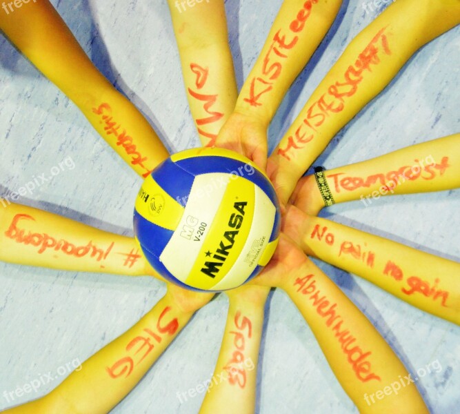 Volleyball Team Team Sport Web Fairness