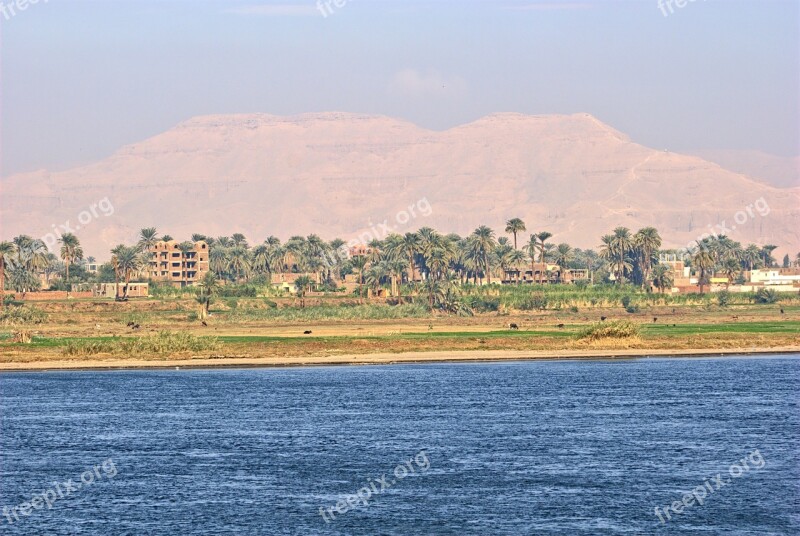 Egypt Summer Nature Water Green