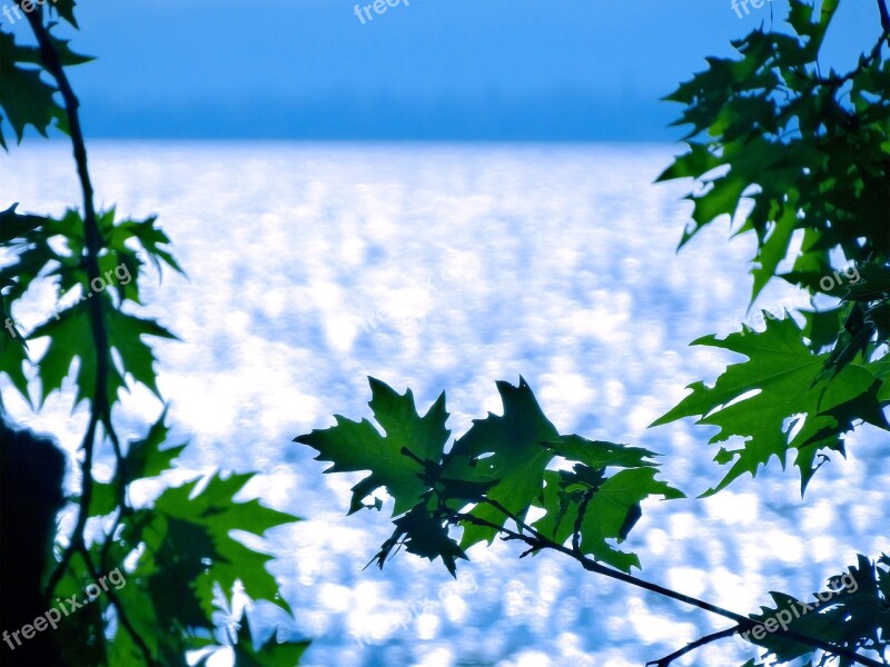 Sheet Lake Greece Agrinio Season