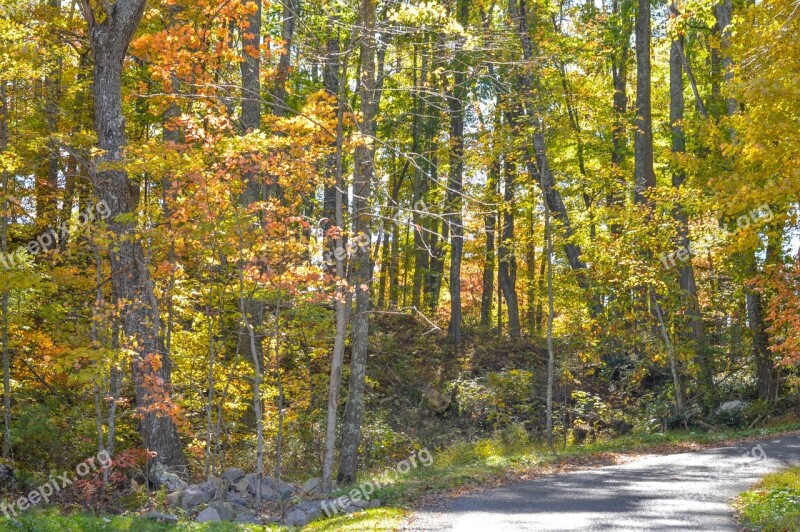 Lake Fall Autumn Fall Foliage Landscape