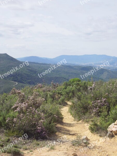 Mountain Trail Mountain Path Hiking Trail Adventure