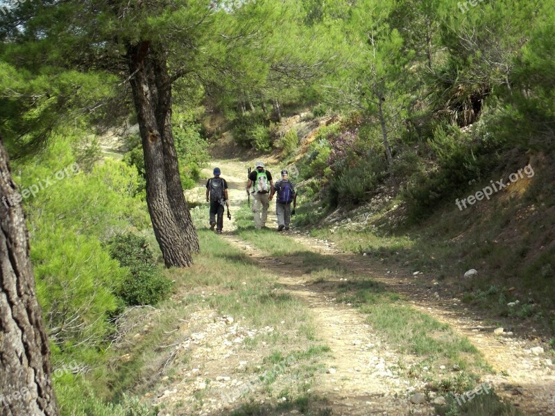 Mountain Path Walking Outdoor Hiking