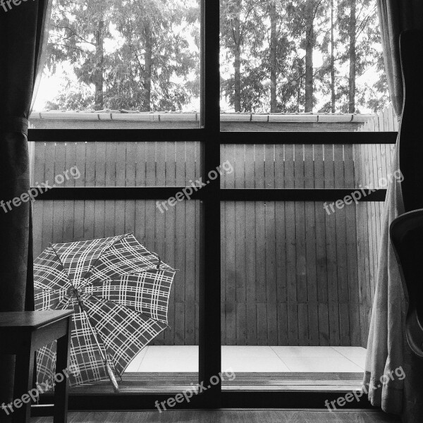 The Yard Umbrella Fences It's Raining Home