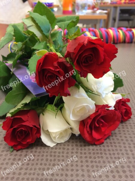 Roses Red Flowers Ros Flower