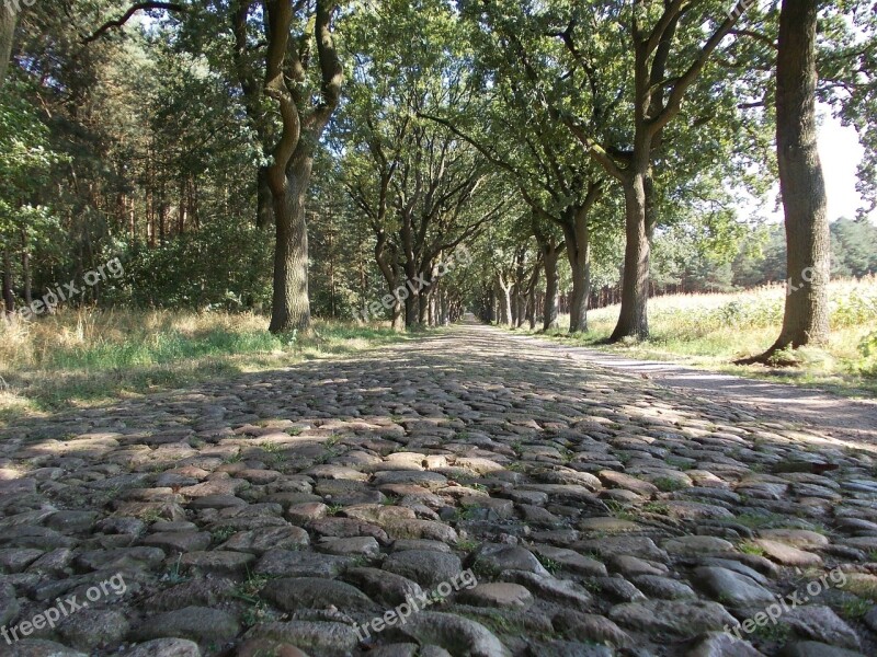 Historic Street Cobblestone Old Paving Stones Road