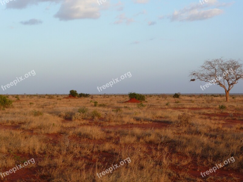 Sunset Kenya Nature Africa Landscape