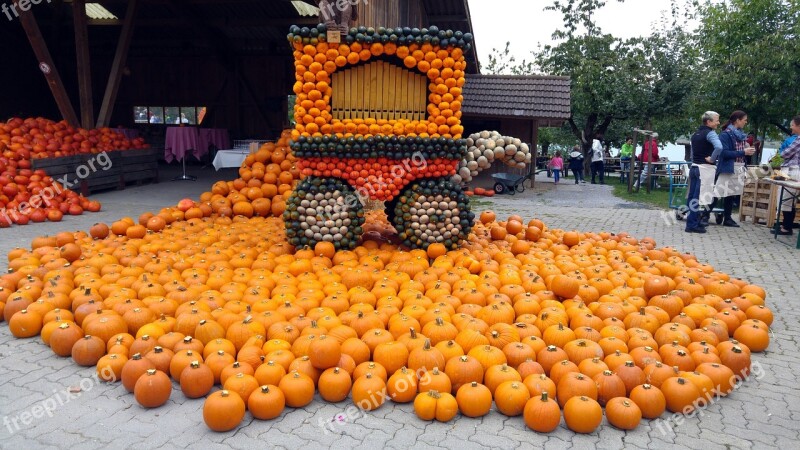 Pumpkin Thanksgiving Harvest Autumn Healthy