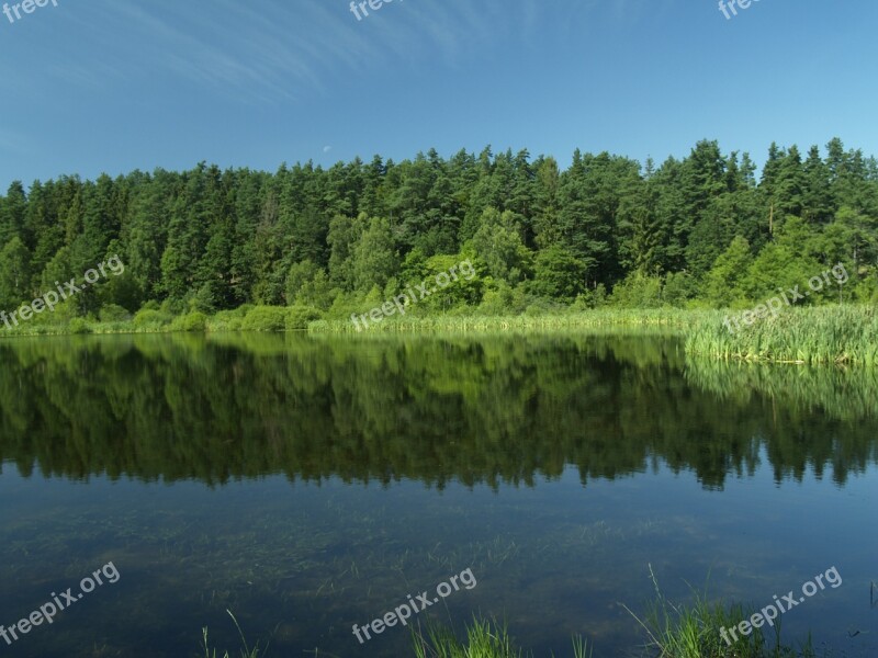 Kaszuby Lake Forest Poland Landscape