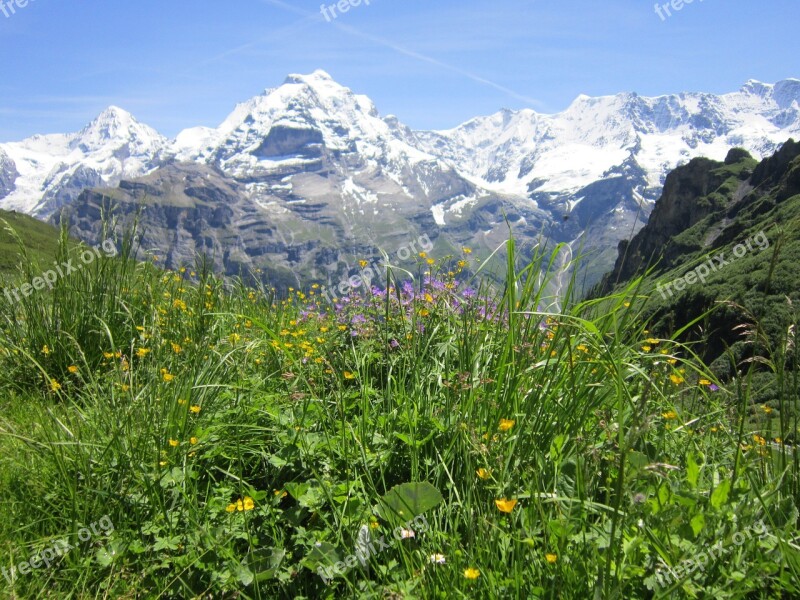 Swiss Alps Alpine Mountain Landscape