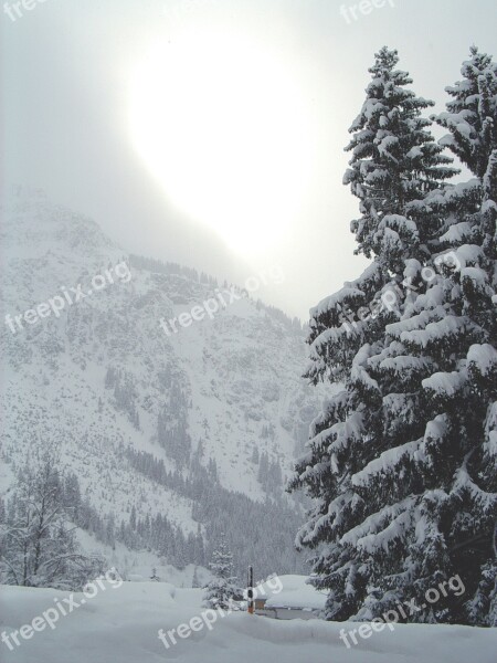 Snow Tree Mountain Wintry Road