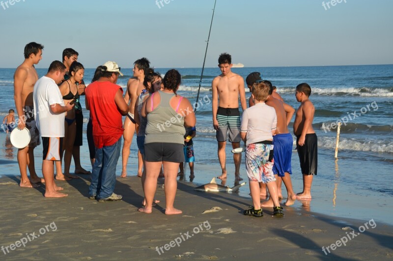 Group Of People Shark Sea Summer Beach