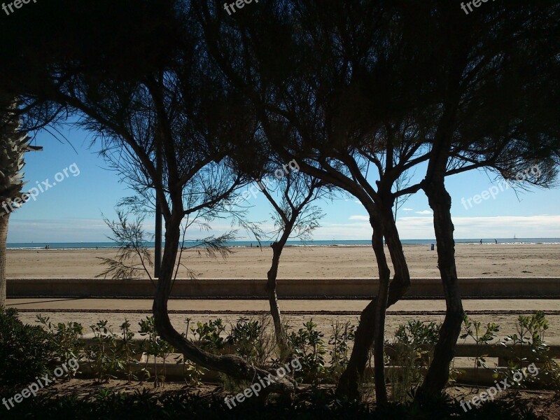 Sea Beach Vegetation Sand Sky