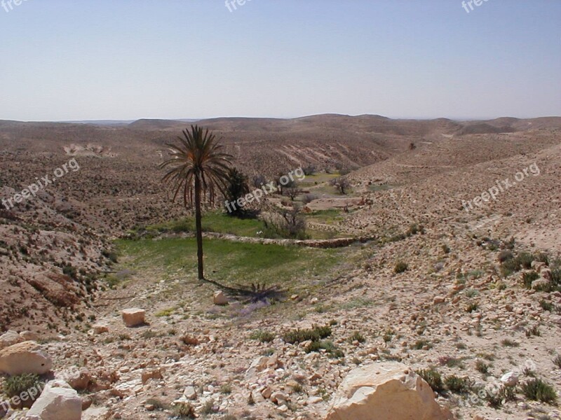 Oasis Shott El Djerid Southern Tunisia Free Photos