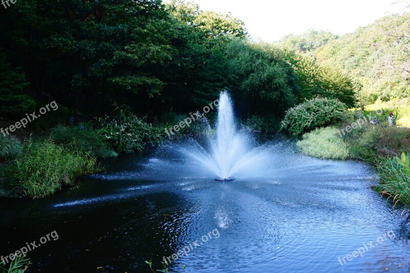 Waterfall Artificial Lake Lake Nature Landscape