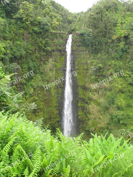 Waterfall Nature Flow Waters Landscape