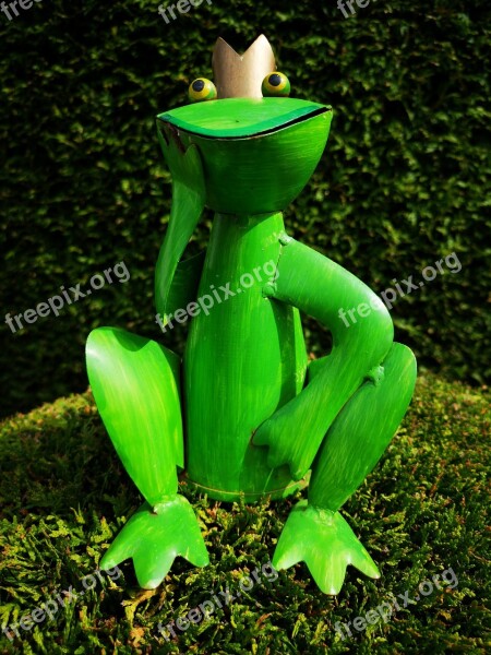 Frog Garden Nature Figure Summer