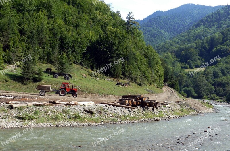 Water Railway Romania Transylvania Carpathian Mountains Tourism