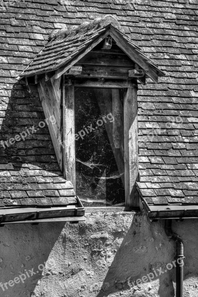 Skylight Window Roof Dog-sitting Spider Web