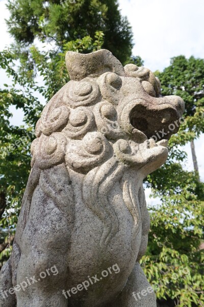 Guardian Dogs Stone Statues Sculpture Shrine Japan