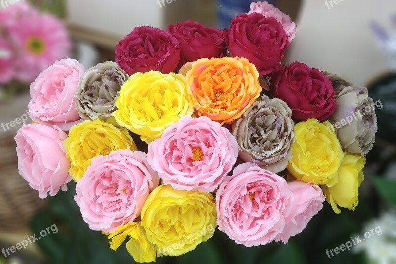 Rose Harmony Artificial Flower Flowers Sophistication