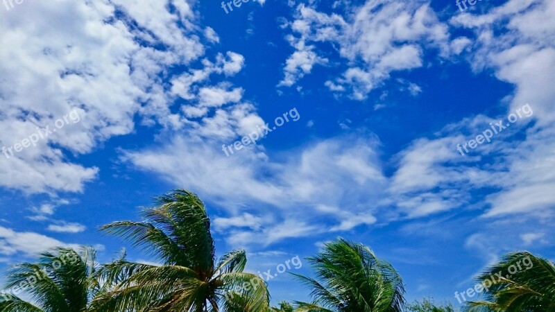 Melons Clouds Blue Skies Wind Free Photos