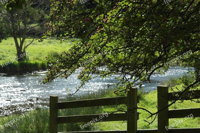 Water Flowing Water Mill Splash Nature