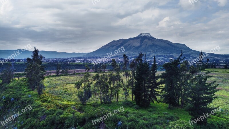 Pine Green Imbabura Free Photos