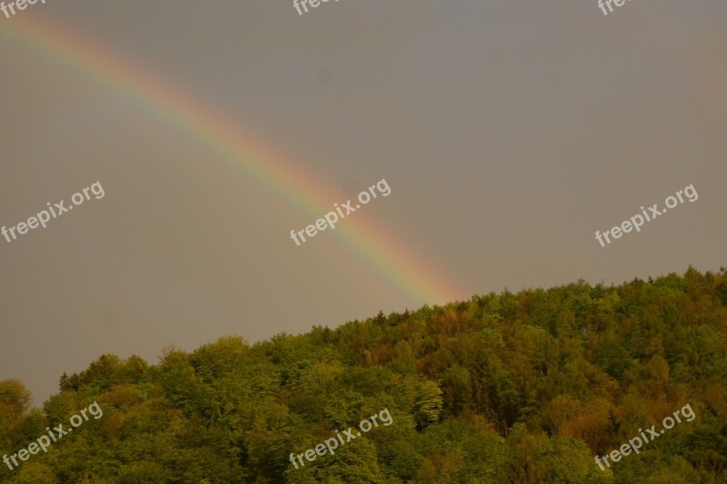 Regenbogen Wald Spektrum Free Photos