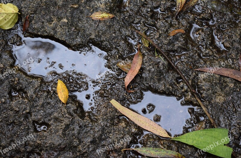 Footprint Foot Footprint In The Concrete Print Nature