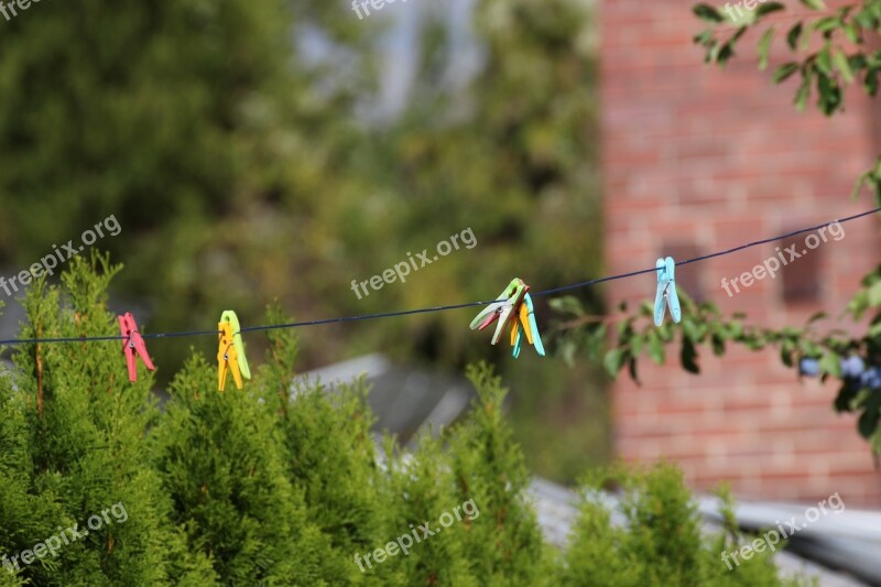 Clothes Line Clothespins Clothes Peg Free Photos