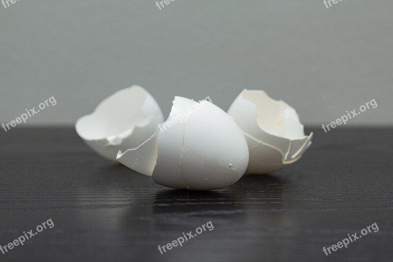 Eggs Eggshell Eggshells Food Protein