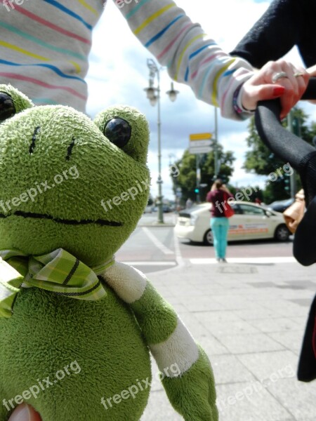 The Frog żabka The Mascot Plush Tour