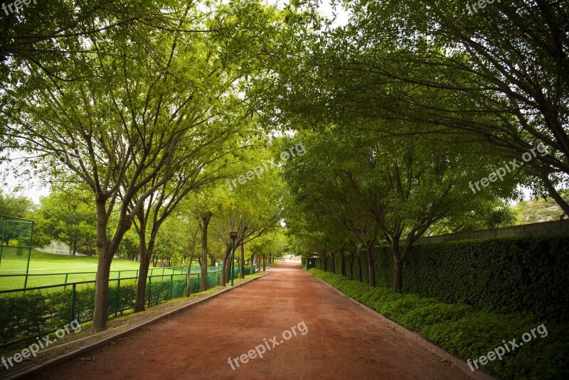 Green Park Life Grass Nature